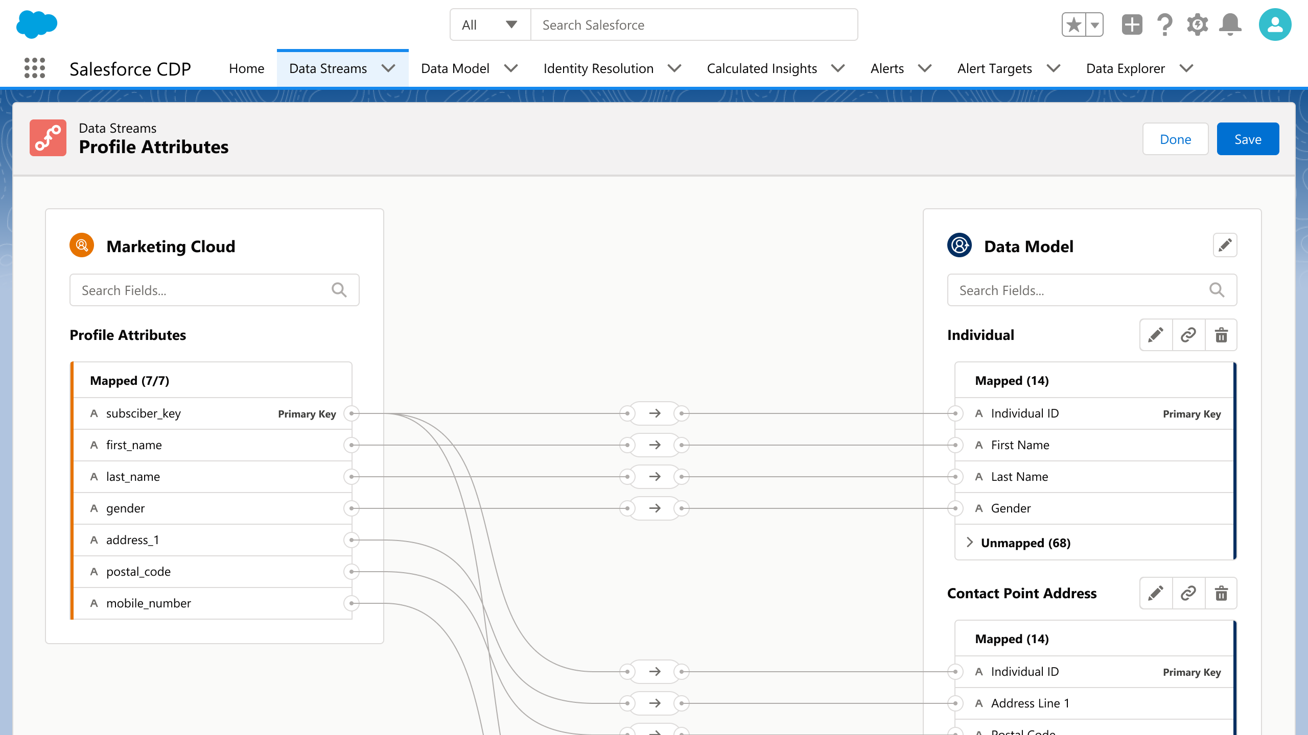 Salesforce CDP Data Streams and Mapping